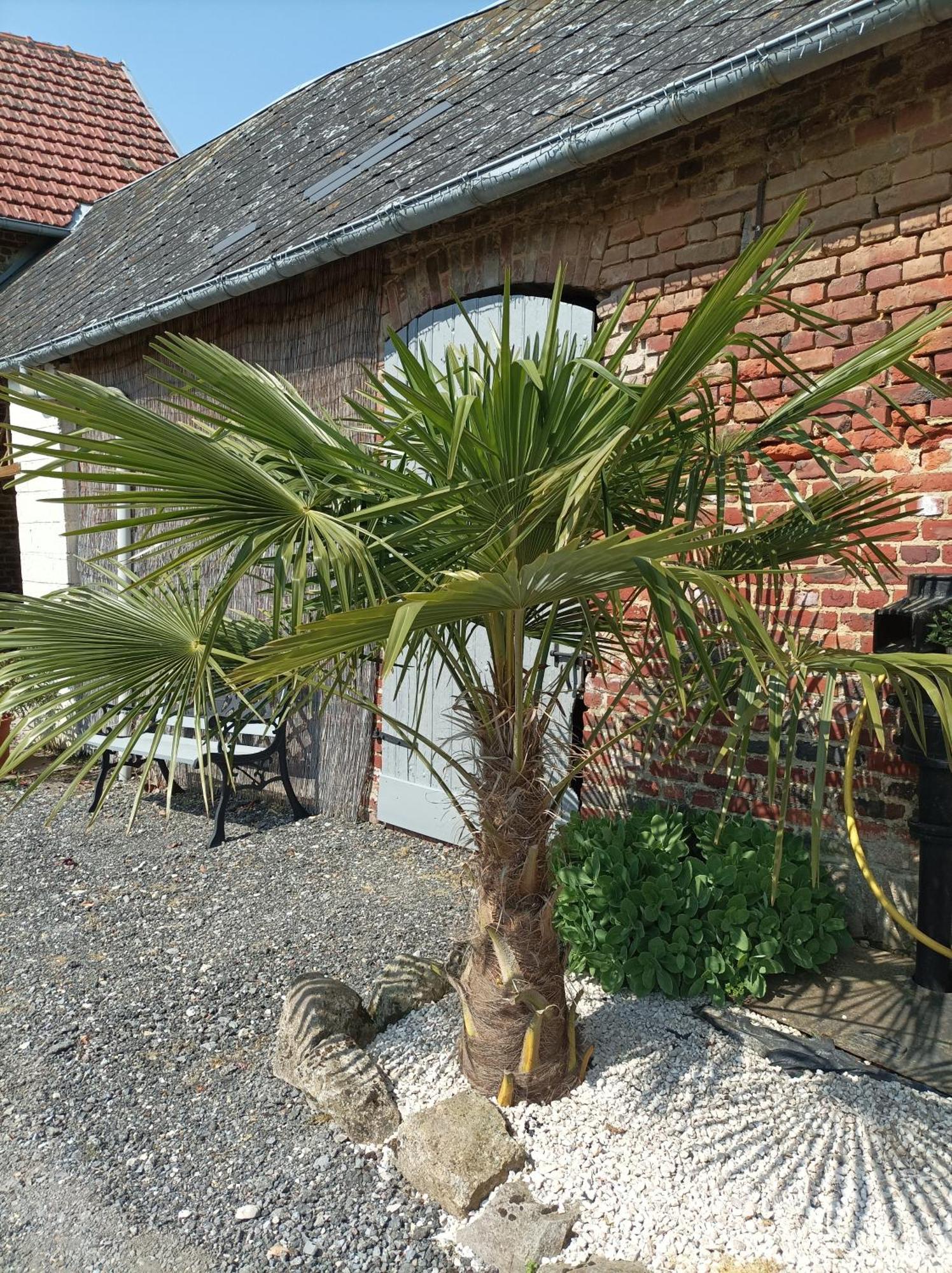 Les Muches Bed & Breakfast Bouzincourt Екстериор снимка